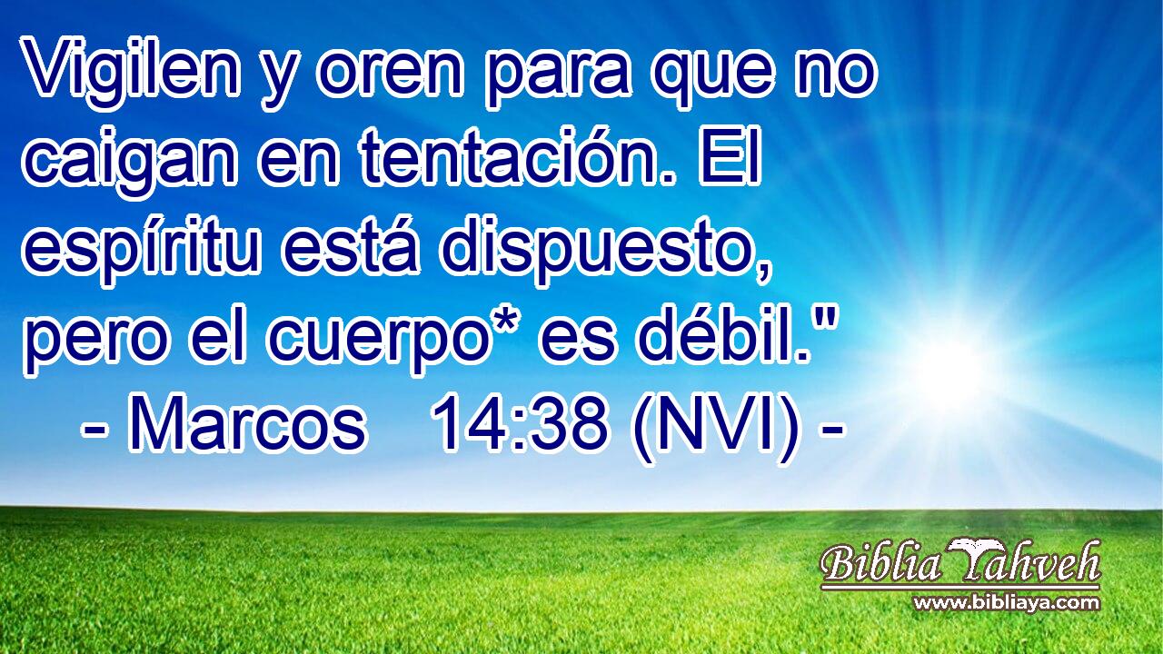  Vigilen y oren para que no caigan en tentación. El espíritu está dispuesto, pero el cuerpo* es débil.