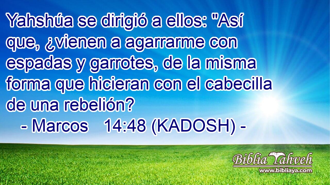  Yahshúa se dirigió a ellos: 