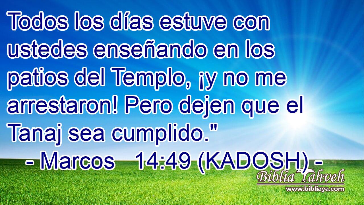  Todos los días estuve con ustedes enseñando en los patios del Templo, ¡y no me arrestaron! Pero dejen que el Tanaj sea cumplido.