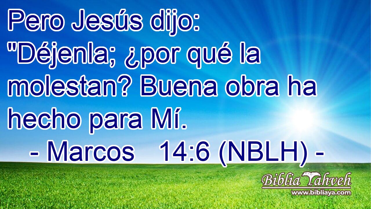  Pero Jesús dijo: 