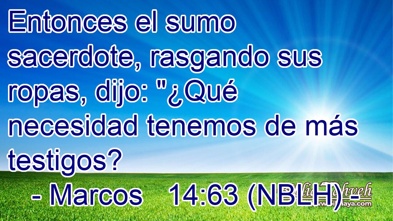  Entonces el sumo sacerdote, rasgando sus ropas, dijo: 