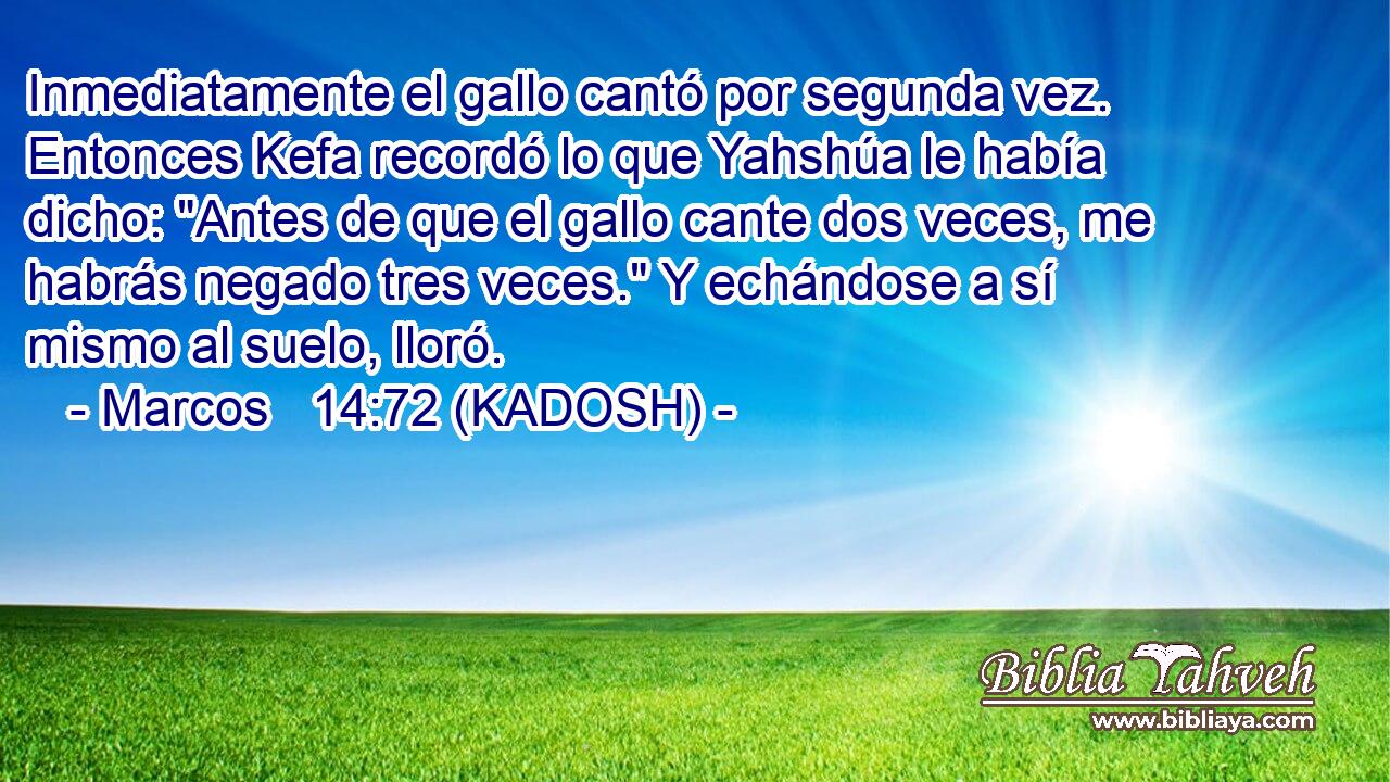  Inmediatamente el gallo cantó por segunda vez. Entonces Kefa recordó lo que Yahshúa le había dicho: 