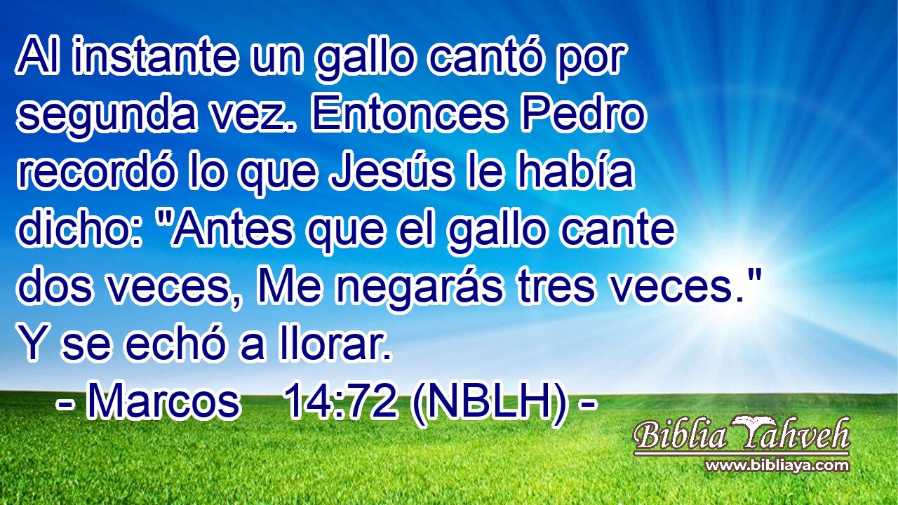  Al instante un gallo cantó por segunda vez. Entonces Pedro recordó lo que Jesús le había dicho: 