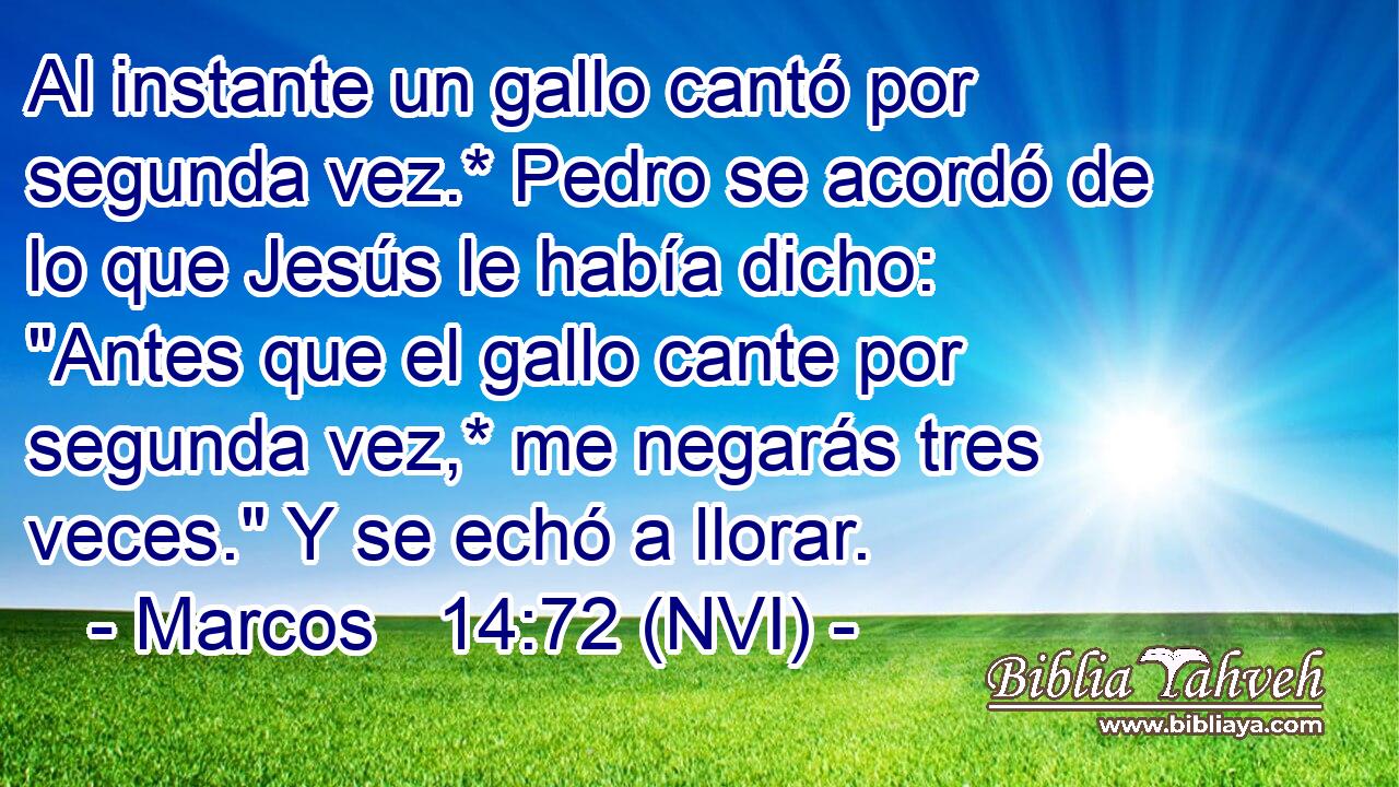 Al instante un gallo cantó por segunda vez.* Pedro se acordó de lo que Jesús le había dicho: 