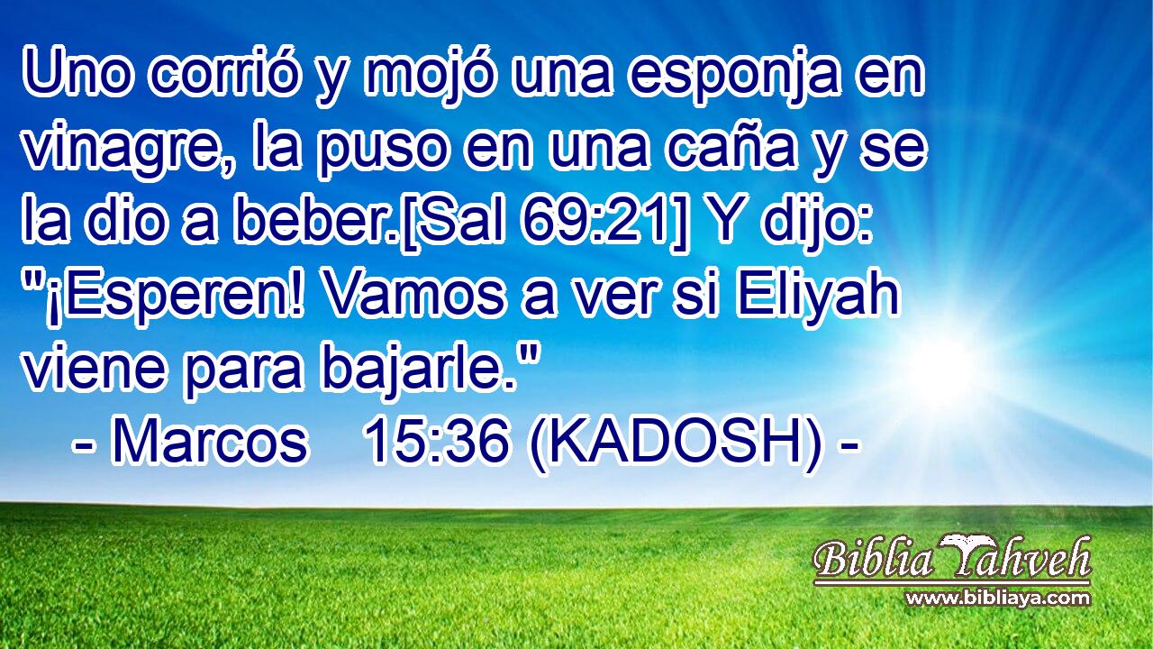  Uno corrió y mojó una esponja en vinagre, la puso en una caña y se la dio a beber.[Sal 69:21] Y dijo: 