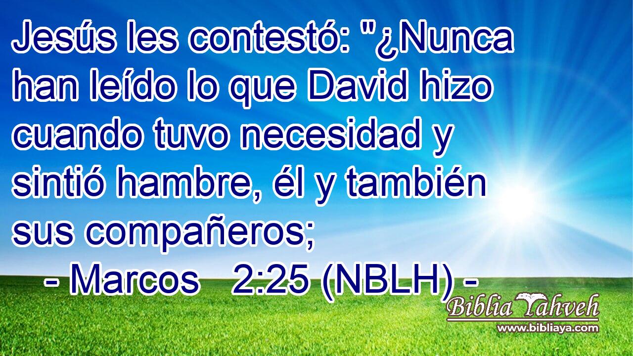  Jesús les contestó: 