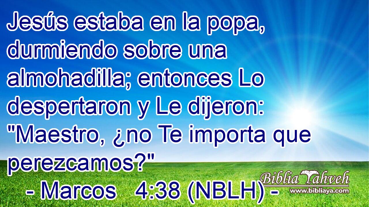  Jesús estaba en la popa, durmiendo sobre una almohadilla; entonces Lo despertaron y Le dijeron: 