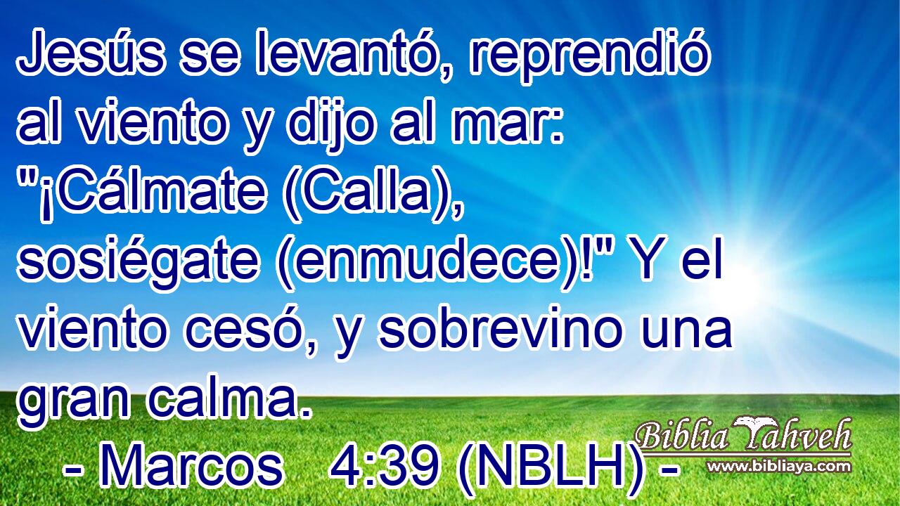  Jesús se levantó, reprendió al viento y dijo al mar: 