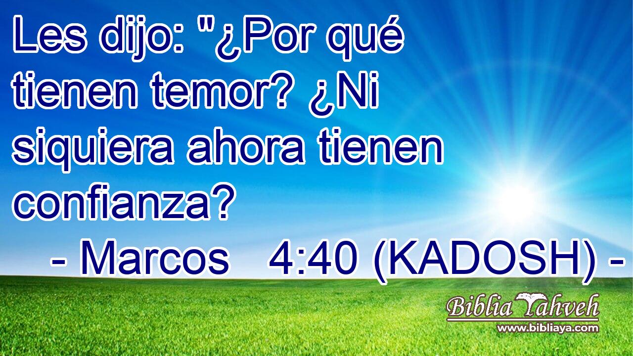  Les dijo: 