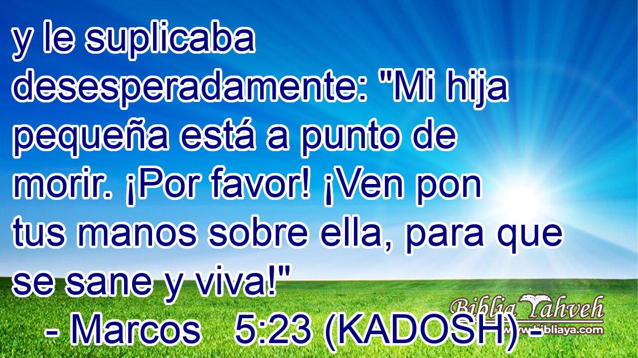  y le suplicaba desesperadamente: 