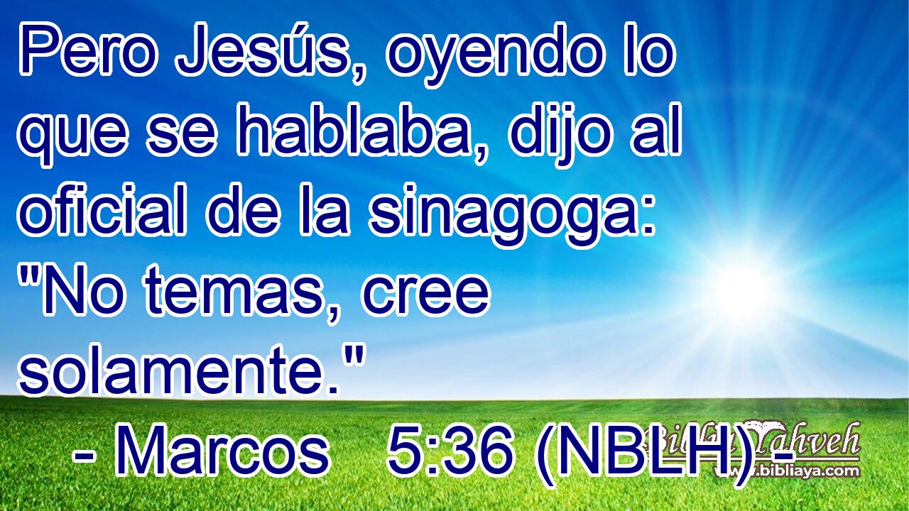  Pero Jesús, oyendo lo que se hablaba, dijo al oficial de la sinagoga: 
