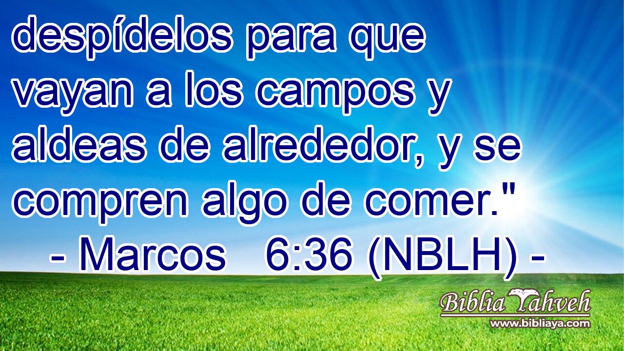  despídelos para que vayan a los campos y aldeas de alrededor, y se compren algo de comer.