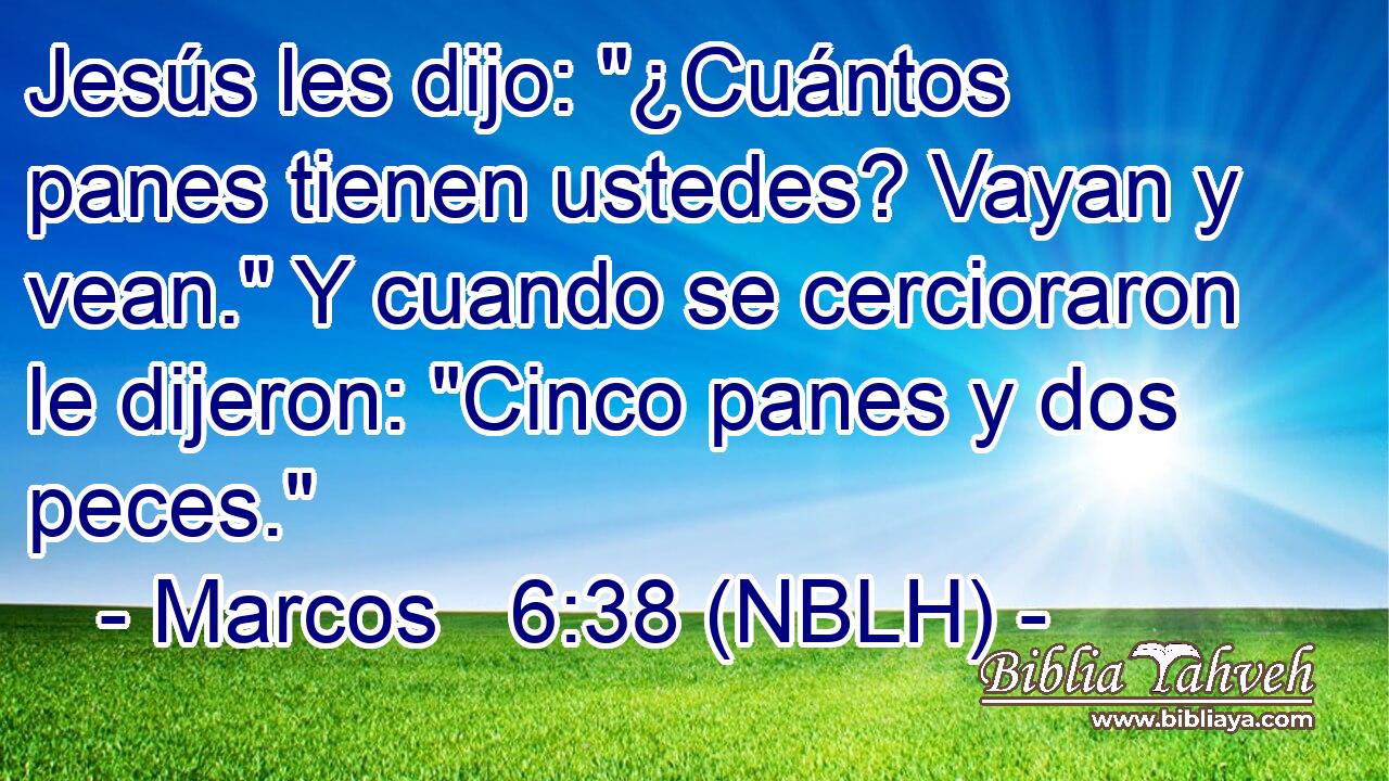 Jesús les dijo: 