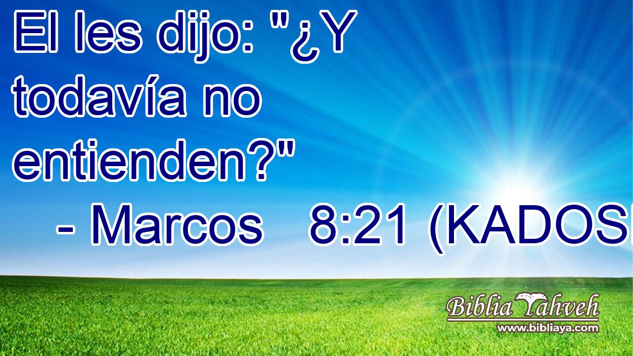  El les dijo: 
