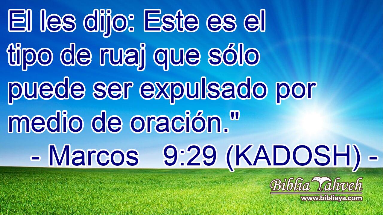  El les dijo: Este es el tipo de ruaj que sólo puede ser expulsado por medio de oración.