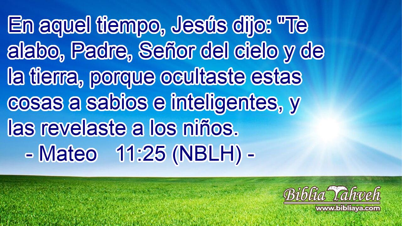  En aquel tiempo, Jesús dijo: 