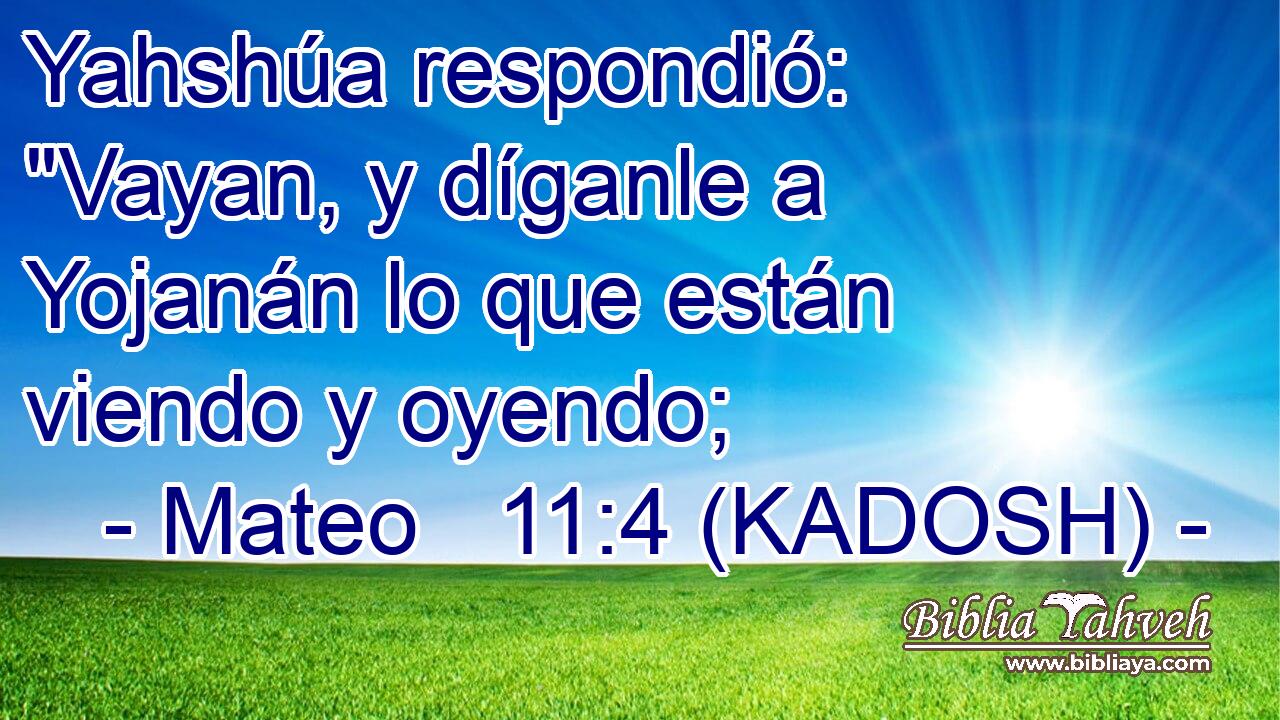  Yahshúa respondió: 