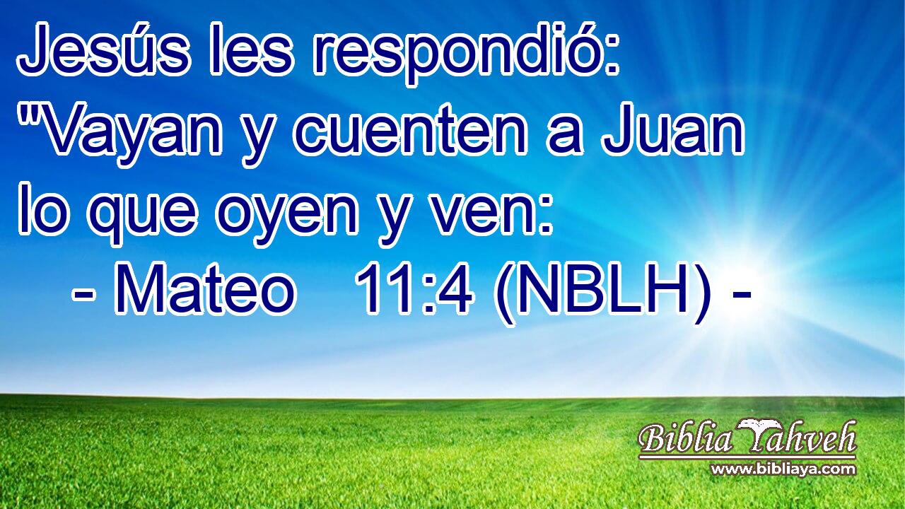  Jesús les respondió: 