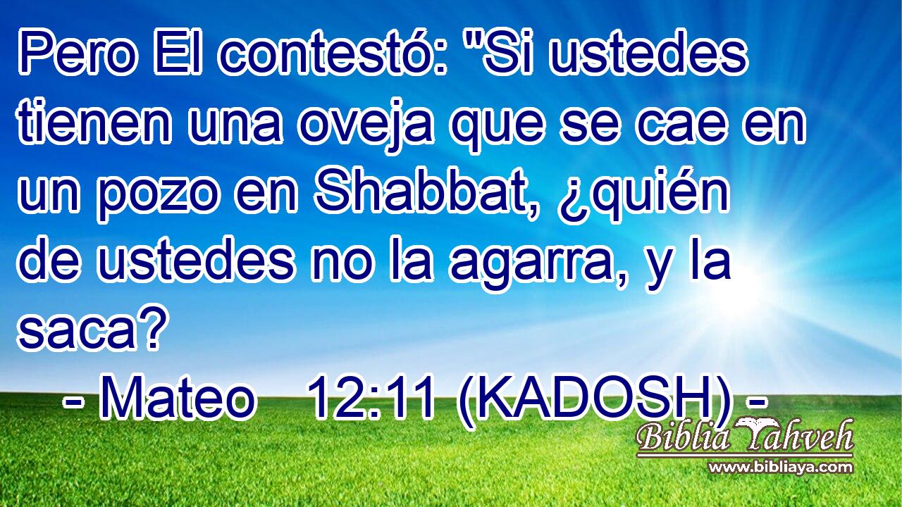  Pero El contestó: 