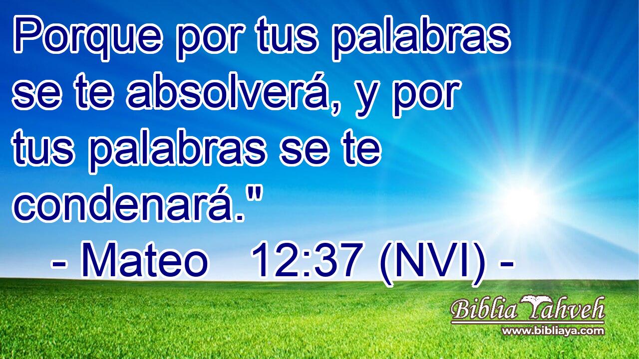  Porque por tus palabras se te absolverá, y por tus palabras se te condenará.