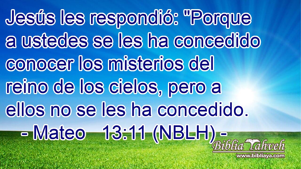  Jesús les respondió: 