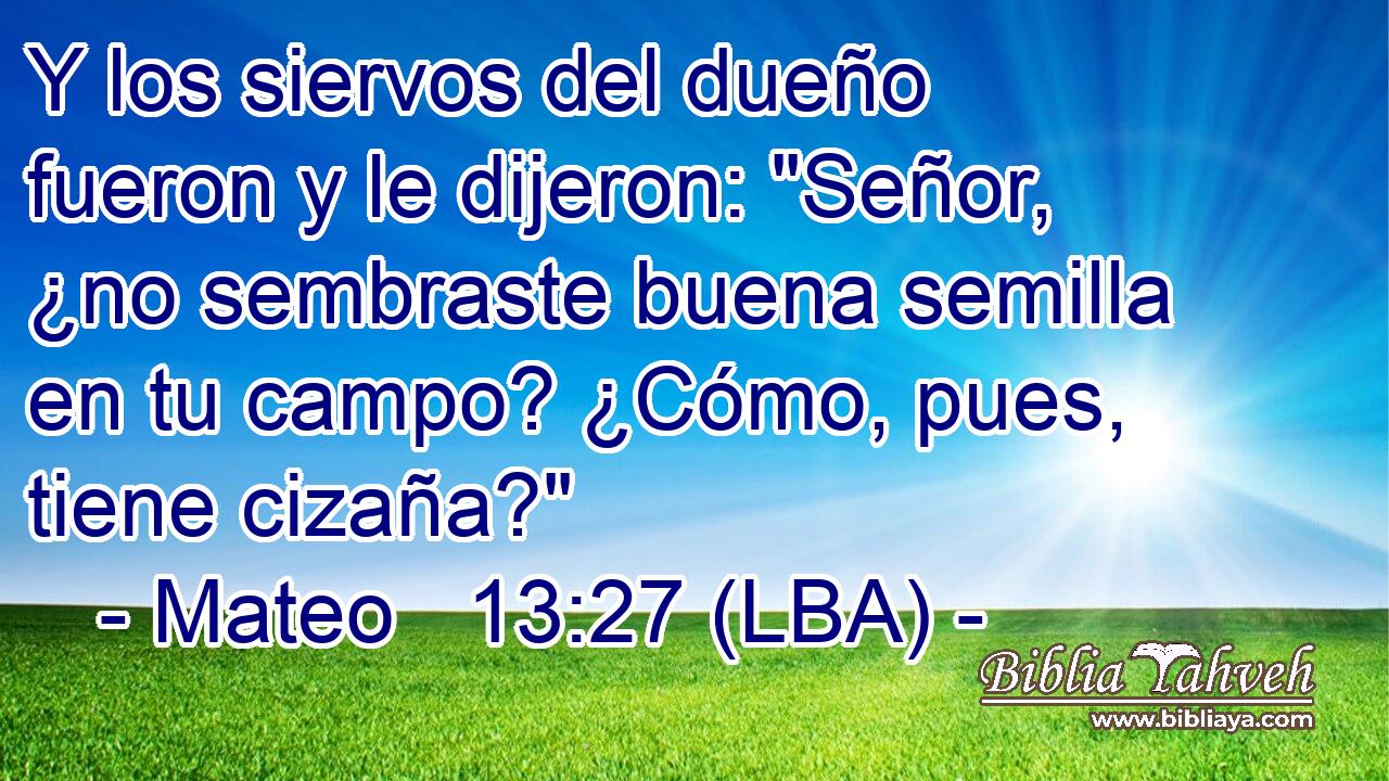 Y los siervos del dueño fueron y le dijeron: 