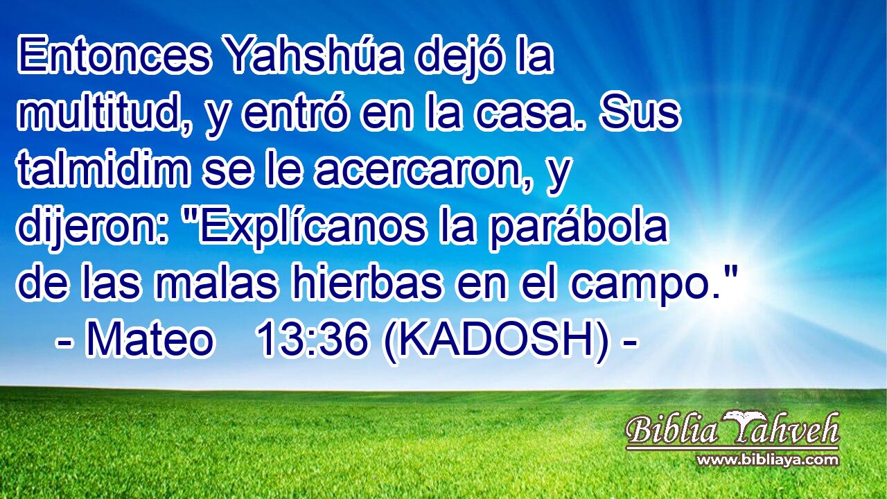  Entonces Yahshúa dejó la multitud, y entró en la casa. Sus talmidim se le acercaron, y dijeron: 
