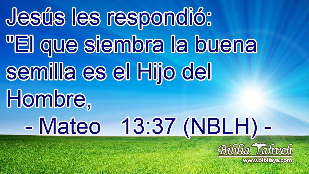  Jesús les respondió: 