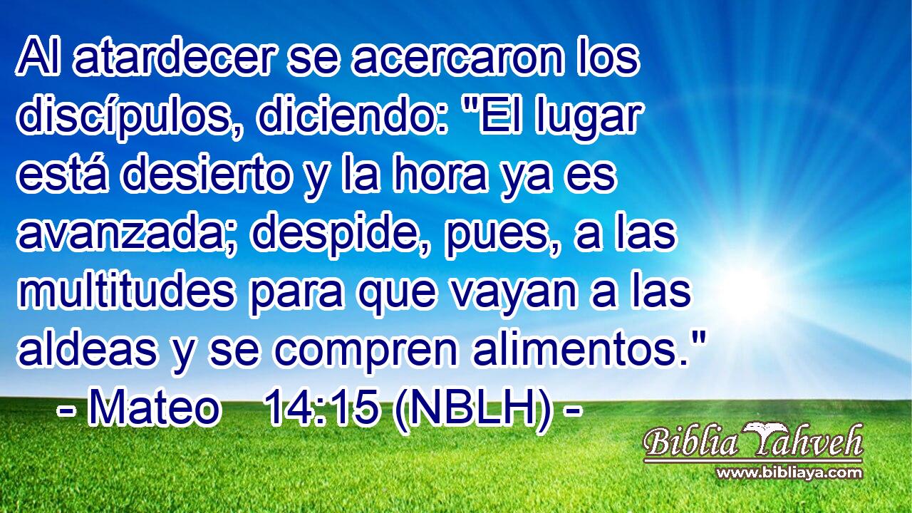  Al atardecer se acercaron los discípulos, diciendo: 