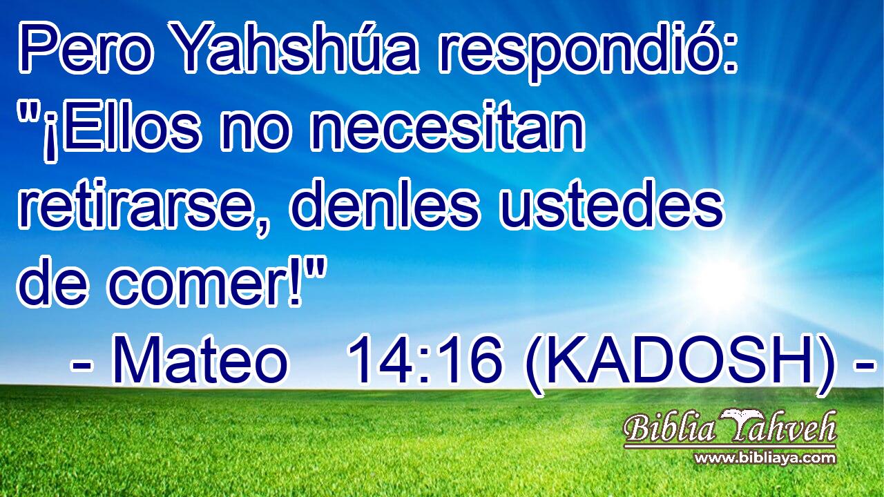  Pero Yahshúa respondió: 