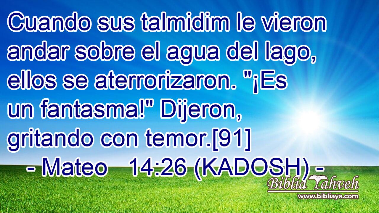  Cuando sus talmidim le vieron andar sobre el agua del lago, ellos se aterrorizaron. 