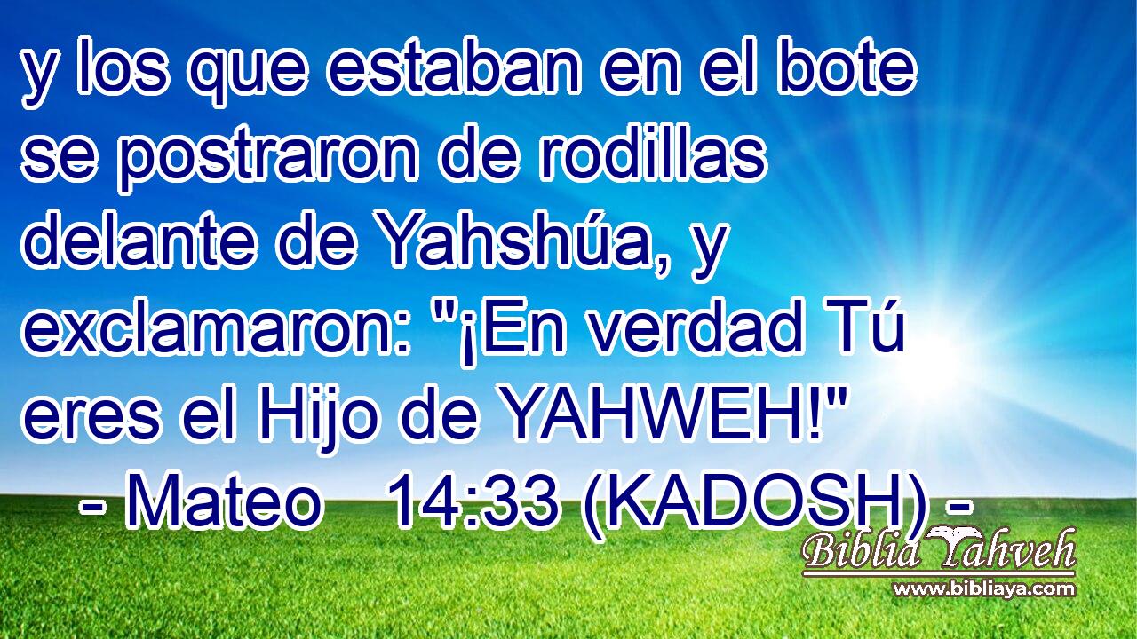  y los que estaban en el bote se postraron de rodillas delante de Yahshúa, y exclamaron: 