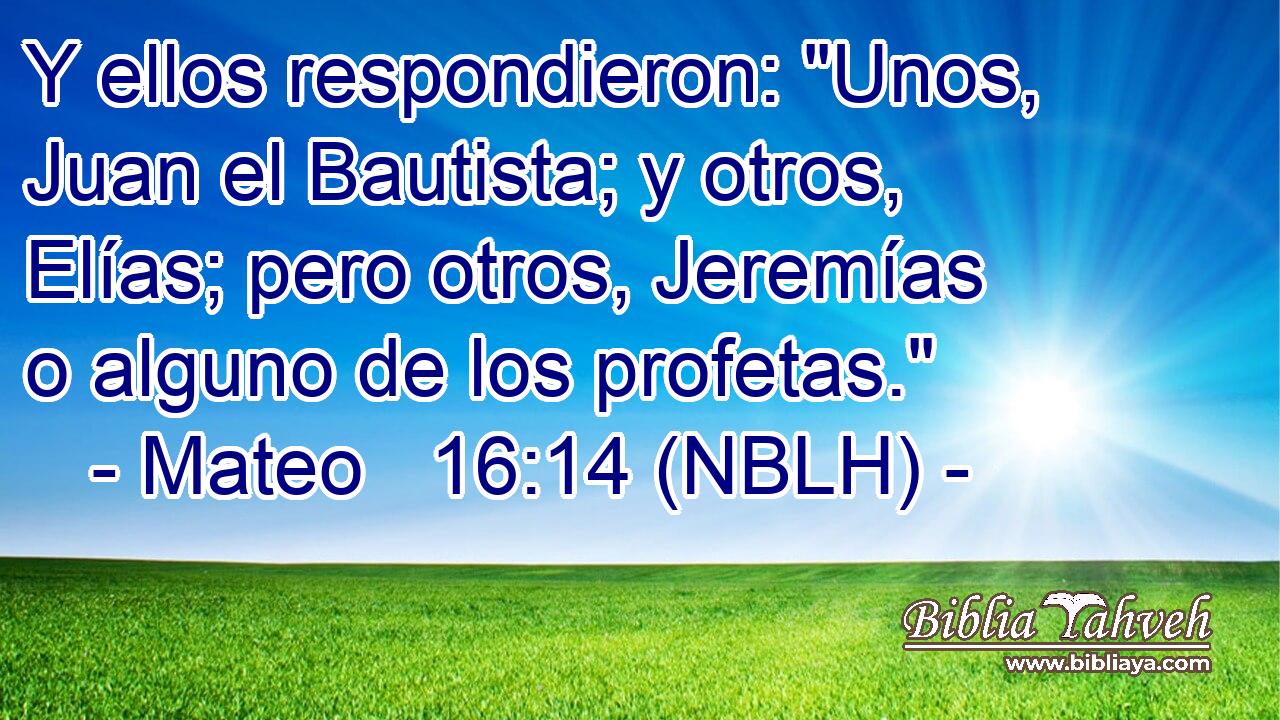  Y ellos respondieron: 