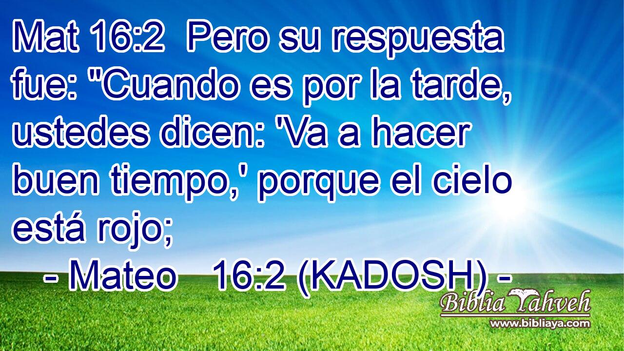  Pero su respuesta fue: 