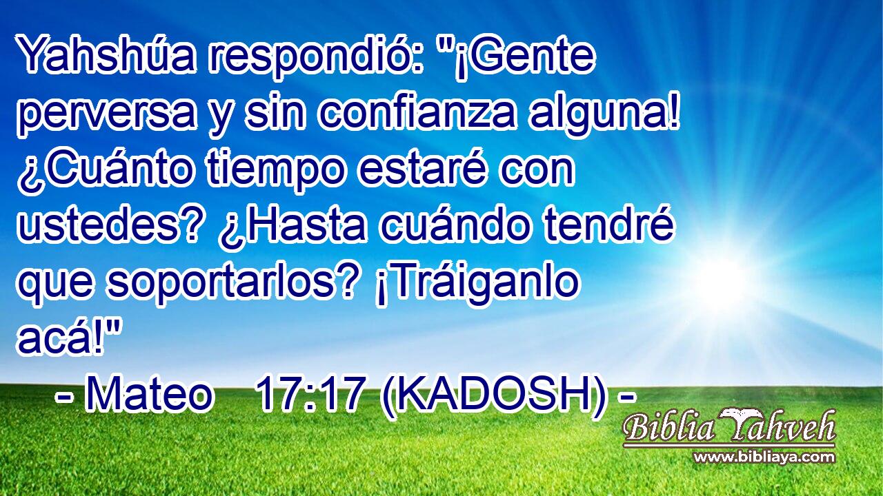  Yahshúa respondió: 