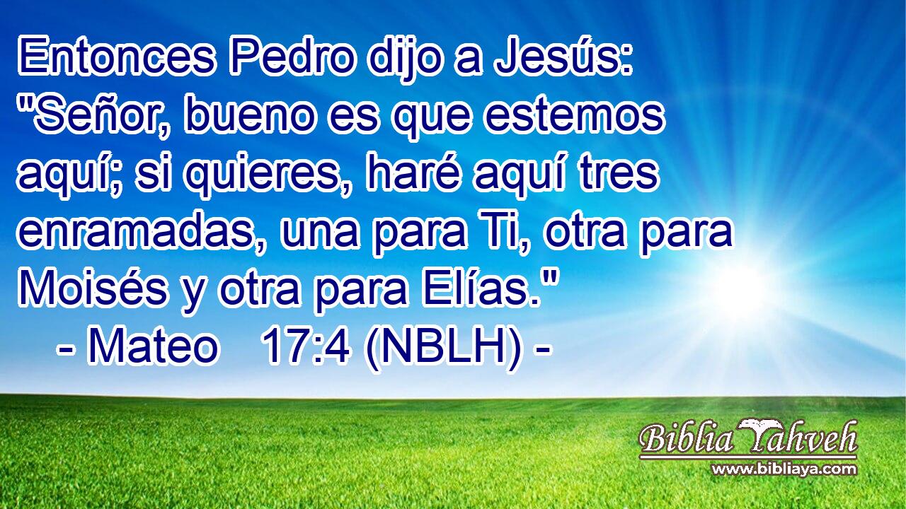  Entonces Pedro dijo a Jesús: 