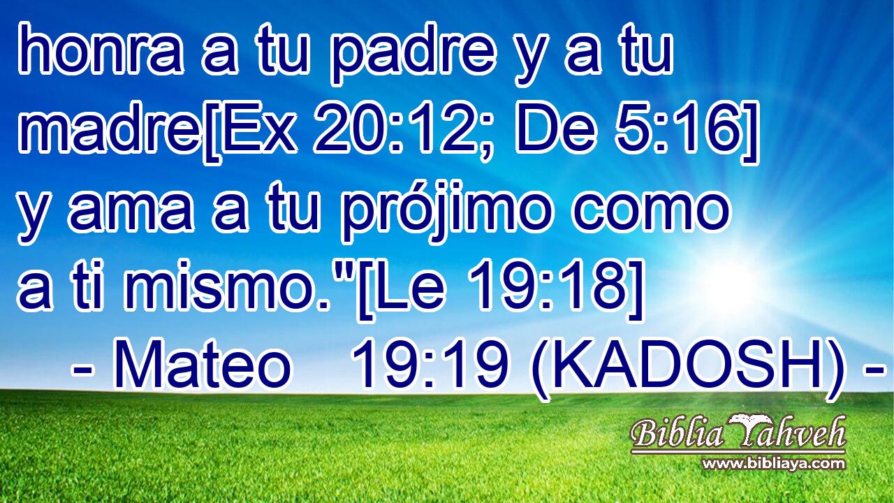  honra a tu padre y a tu madre[Ex 20:12; De 5:16] y ama a tu prójimo como a ti mismo.