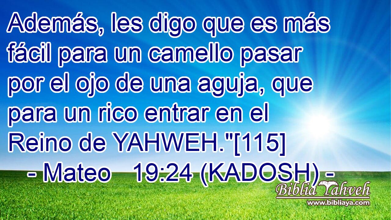  Además, les digo que es más fácil para un camello pasar por el ojo de una aguja, que para un rico entrar en el Reino de YAHWEH.