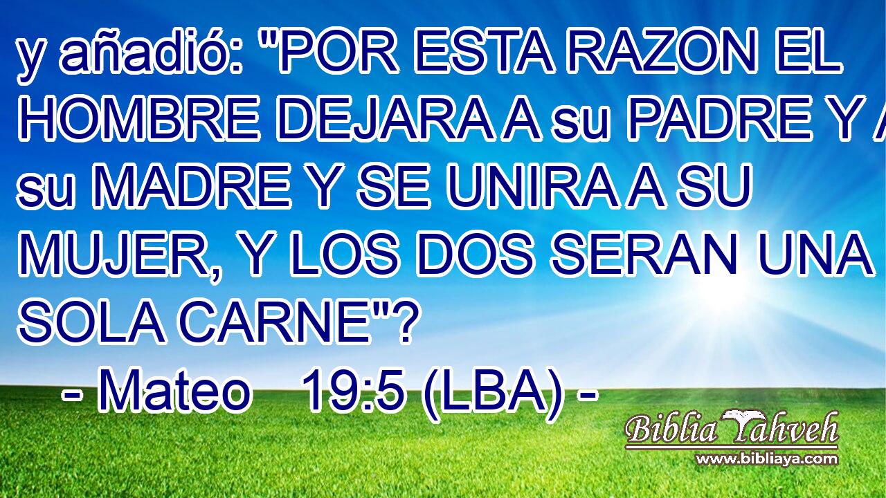 y añadió: 