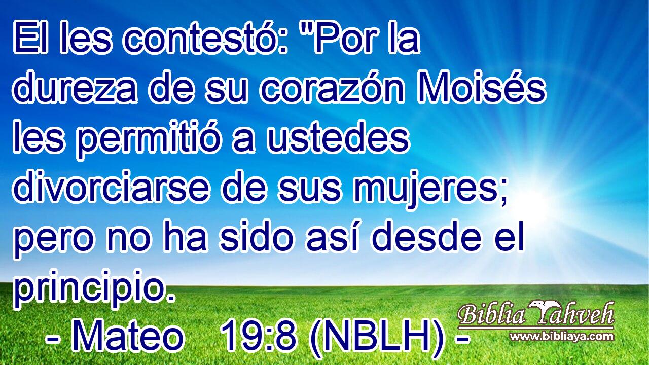  El les contestó: 