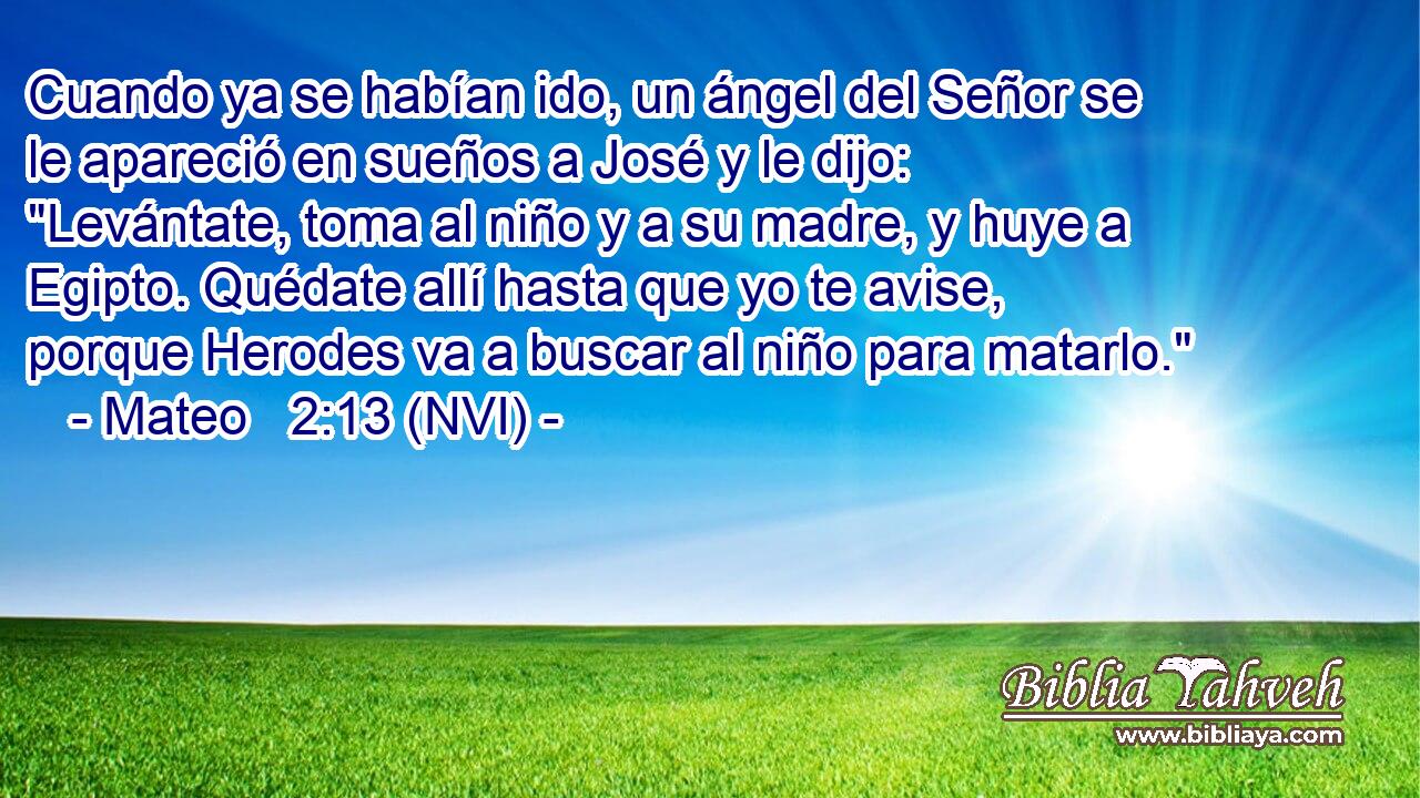  Cuando ya se habían ido, un ángel del Señor se le apareció en sueños a José y le dijo: 