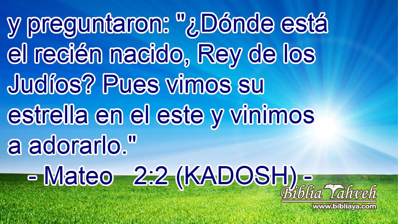  y preguntaron: 