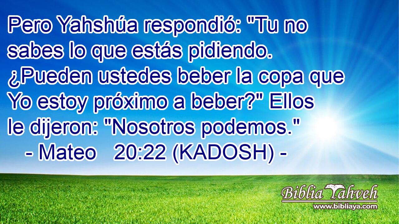  Pero Yahshúa respondió: 