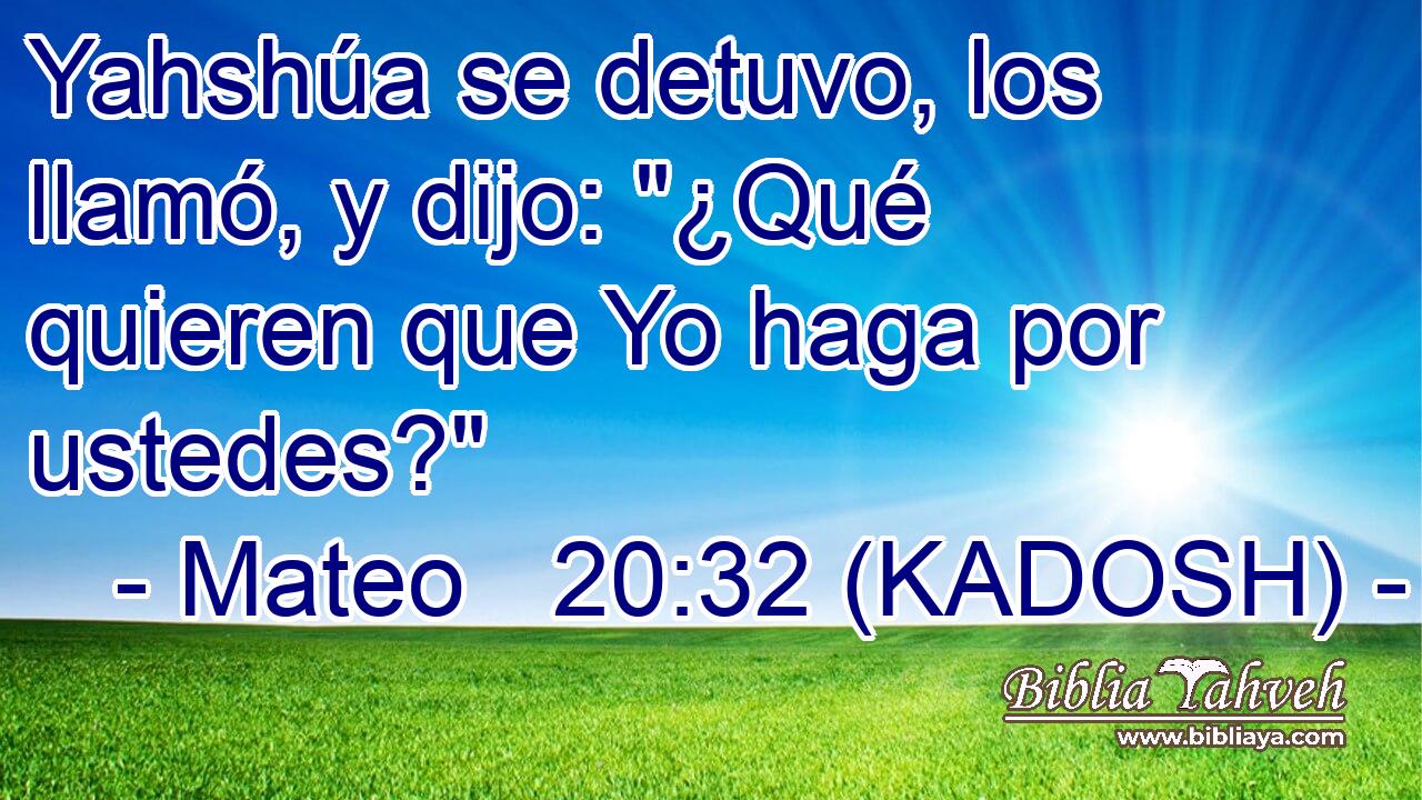  Yahshúa se detuvo, los llamó, y dijo: 