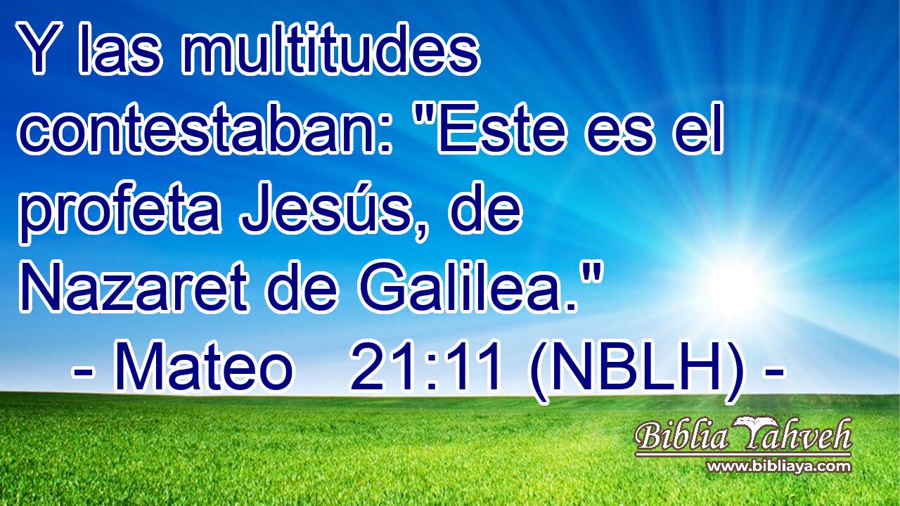  Y las multitudes contestaban: 