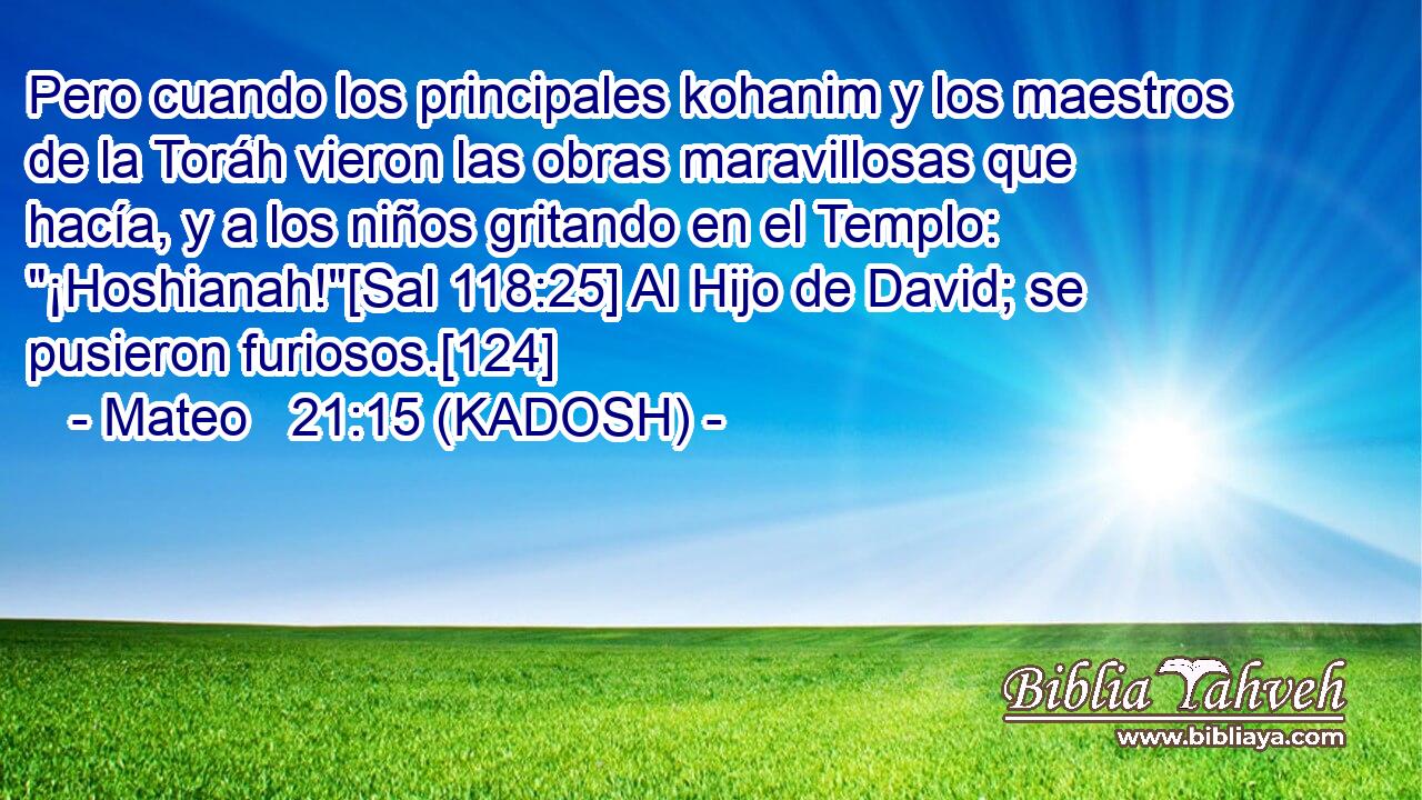 Pero cuando los principales kohanim y los maestros de la Toráh vieron las obras maravillosas que hacía, y a los niños gritando en el Templo: 