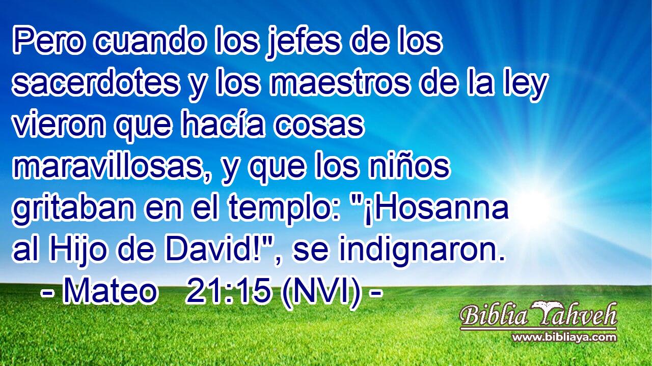  Pero cuando los jefes de los sacerdotes y los maestros de la ley vieron que hacía cosas maravillosas, y que los niños gritaban en el templo: 