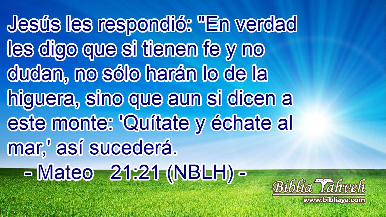 Jesús les respondió: 