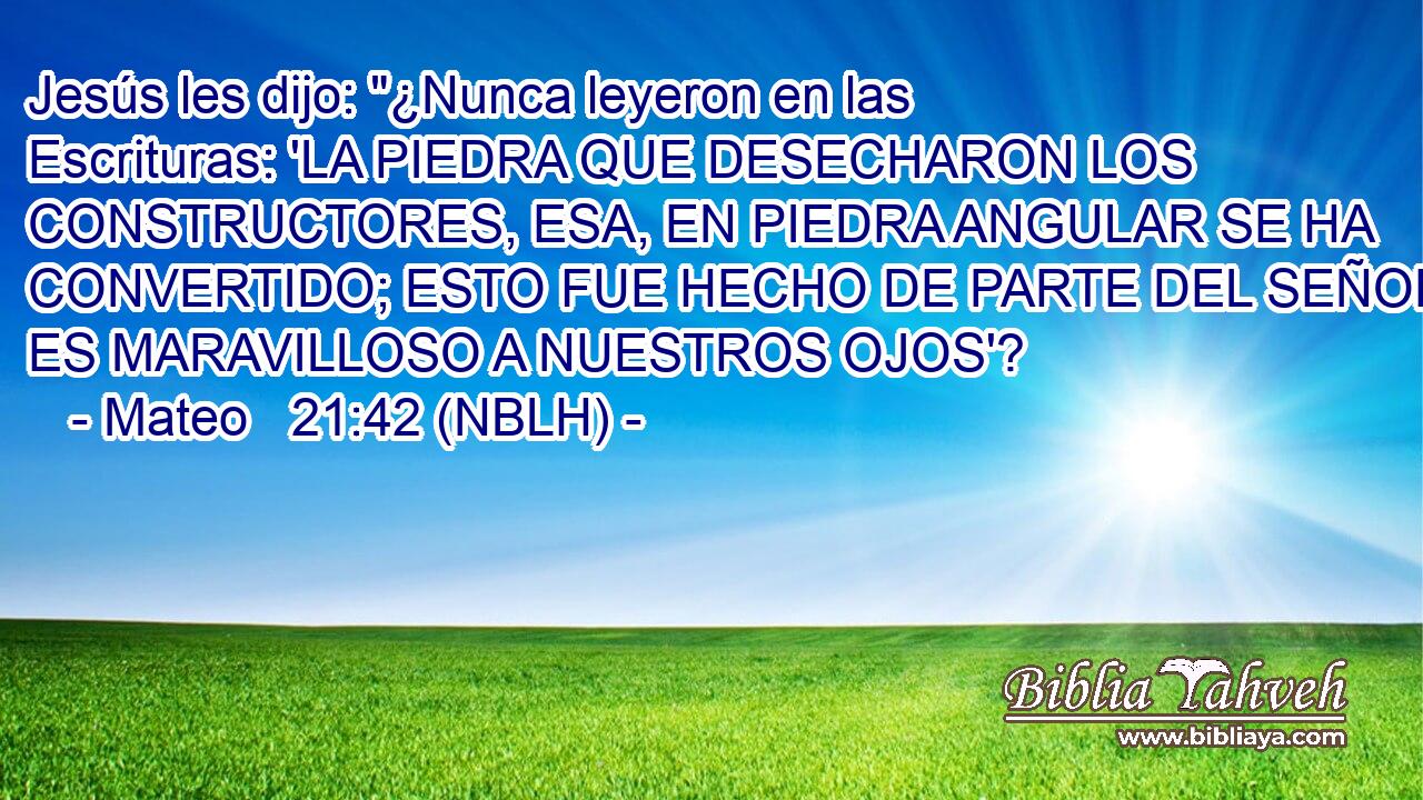  Jesús les dijo: 