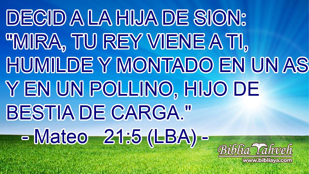 DECID A LA HIJA DE SION: 